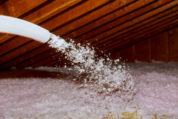 Best Attic Insulation Installation  in Jenison, MI