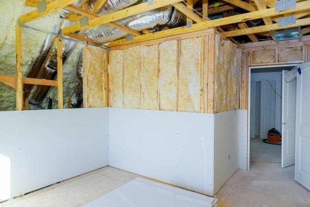 Best Home Insulation Services  in Jenison, MI