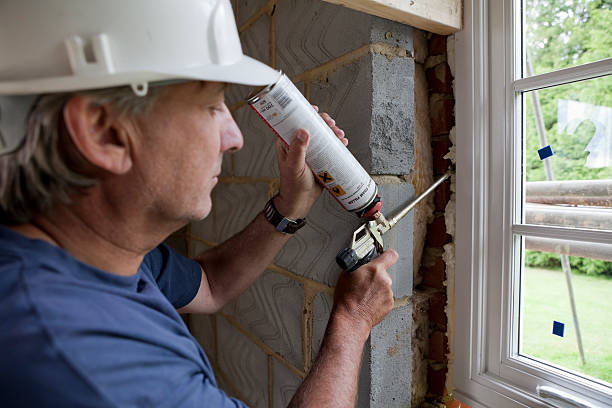 Best Best Insulation Companies  in Jenison, MI