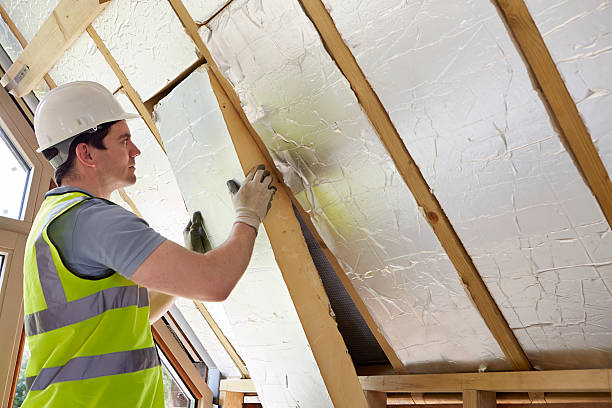 Best Fiberglass Insulation  in Jenison, MI